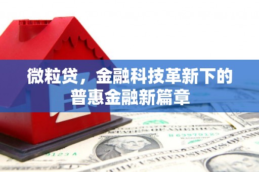 阿勒泰微粒贷，金融科技革新下的普惠金融新篇章