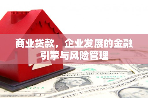 阿勒泰商业贷款，企业发展的金融引擎与风险管理