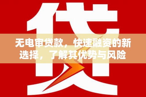 阿勒泰无电审贷款，快速融资的新选择，了解其优势与风险