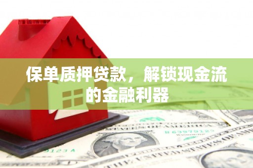 阿勒泰保单质押贷款，解锁现金流的金融利器