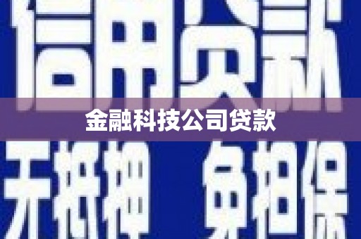 阿勒泰金融科技公司贷款
