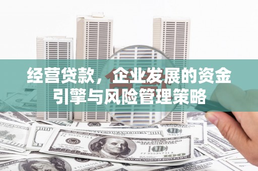 阿勒泰经营贷款，企业发展的资金引擎与风险管理策略