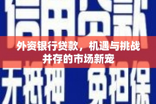 阿勒泰外资银行贷款，机遇与挑战并存的市场新宠