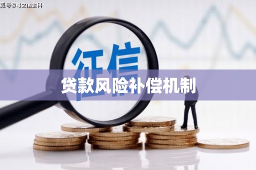 阿勒泰贷款风险补偿机制