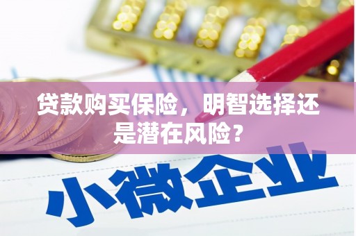 阿勒泰贷款购买保险，明智选择还是潜在风险？