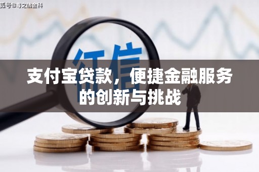 阿勒泰支付宝贷款，便捷金融服务的创新与挑战