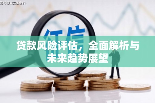阿勒泰贷款风险评估，全面解析与未来趋势展望