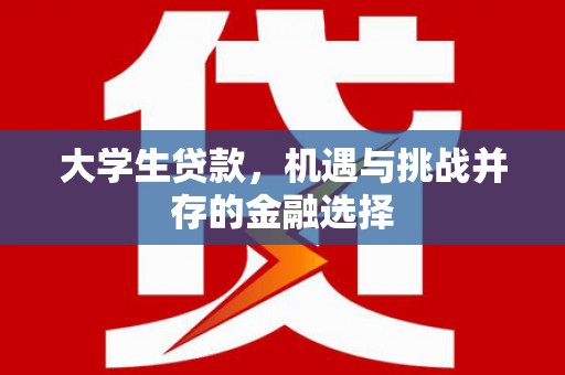 阿勒泰大学生贷款，机遇与挑战并存的金融选择