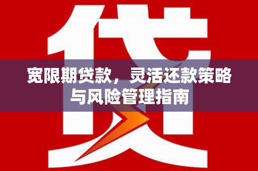 阿勒泰宽限期贷款，灵活还款策略与风险管理指南