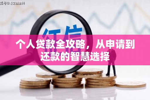 阿勒泰个人贷款全攻略，从申请到还款的智慧选择