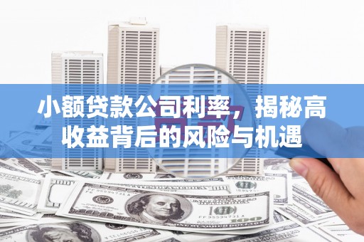 阿勒泰小额贷款公司利率，揭秘高收益背后的风险与机遇