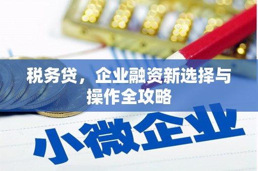 阿勒泰税务贷，企业融资新选择与操作全攻略