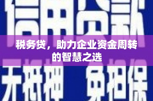 阿勒泰税务贷，助力企业资金周转的智慧之选