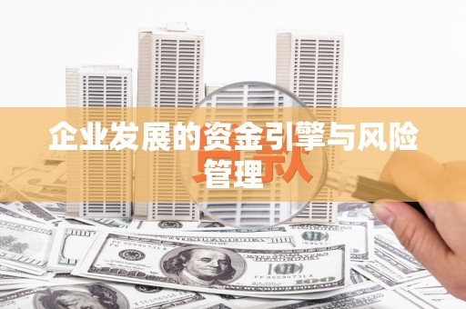 阿勒泰企业发展的资金引擎与风险管理