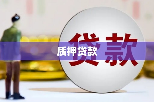 阿勒泰质押贷款