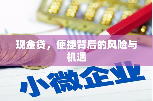 阿勒泰现金贷，便捷背后的风险与机遇