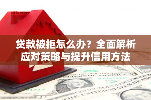 阿勒泰贷款被拒怎么办？全面解析应对策略与提升信用方法