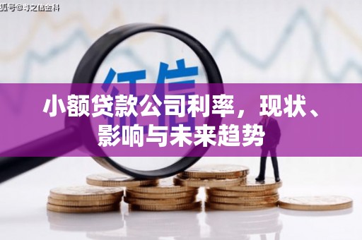 阿勒泰小额贷款公司利率，现状、影响与未来趋势