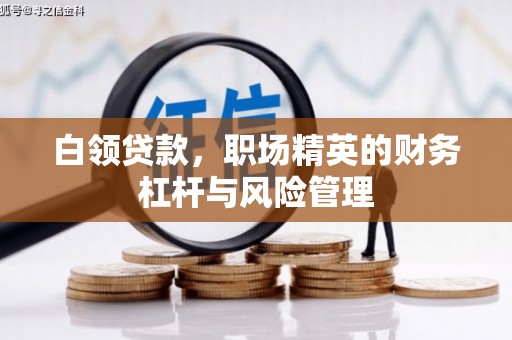 阿勒泰白领贷款，职场精英的财务杠杆与风险管理