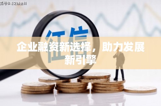 阿勒泰企业融资新选择，助力发展新引擎