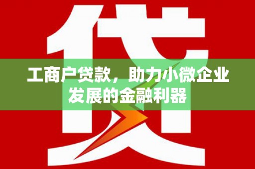 阿勒泰工商户贷款，助力小微企业发展的金融利器