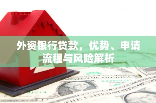 阿勒泰外资银行贷款，优势、申请流程与风险解析