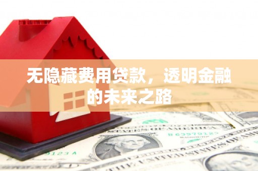 阿勒泰无隐藏费用贷款，透明金融的未来之路