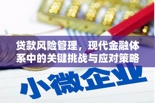 阿勒泰贷款风险管理，现代金融体系中的关键挑战与应对策略
