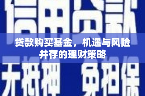 阿勒泰贷款购买基金，机遇与风险并存的理财策略