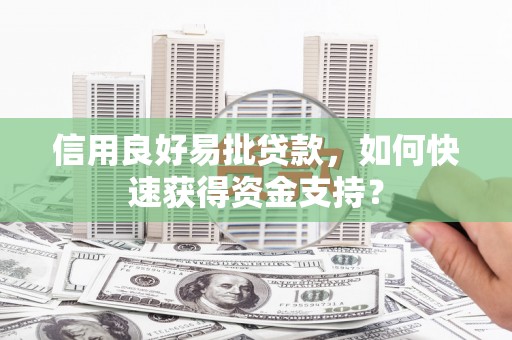 阿勒泰信用良好易批贷款，如何快速获得资金支持？