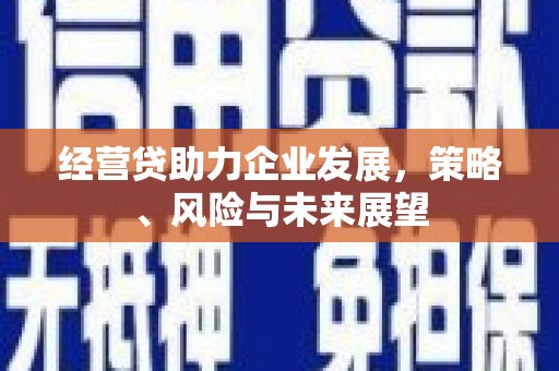 阿勒泰经营贷助力企业发展，策略、风险与未来展望