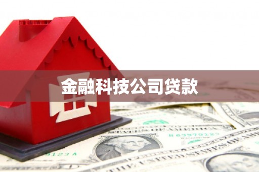 阿勒泰金融科技公司贷款