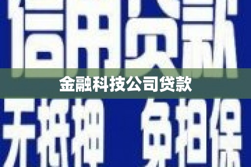 阿勒泰金融科技公司贷款