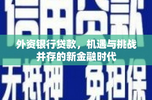 阿勒泰外资银行贷款，机遇与挑战并存的新金融时代