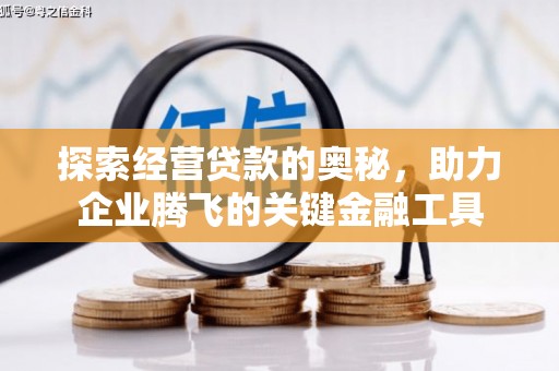 阿勒泰探索经营贷款的奥秘，助力企业腾飞的关键金融工具
