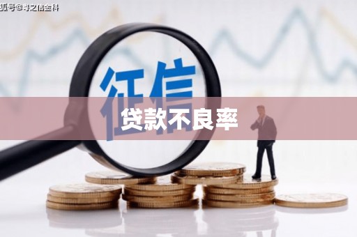 阿勒泰贷款不良率