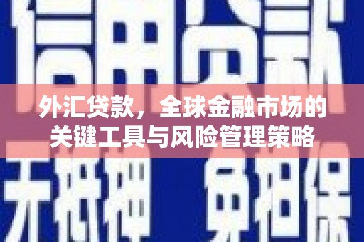 阿勒泰外汇贷款，全球金融市场的关键工具与风险管理策略