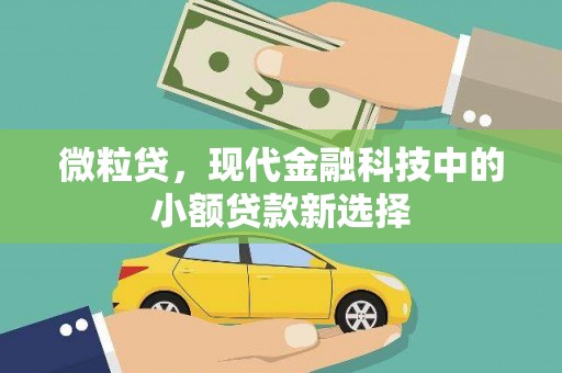 阿勒泰微粒贷，现代金融科技中的小额贷款新选择