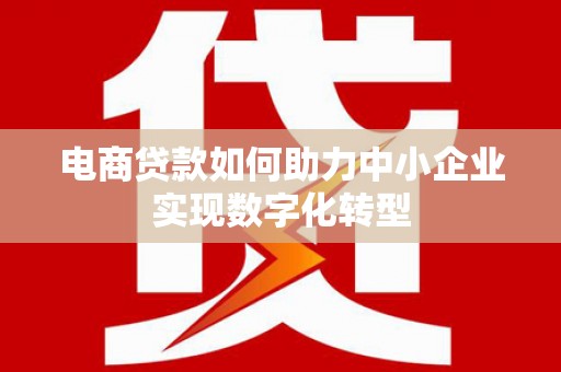 阿勒泰电商贷款如何助力中小企业实现数字化转型