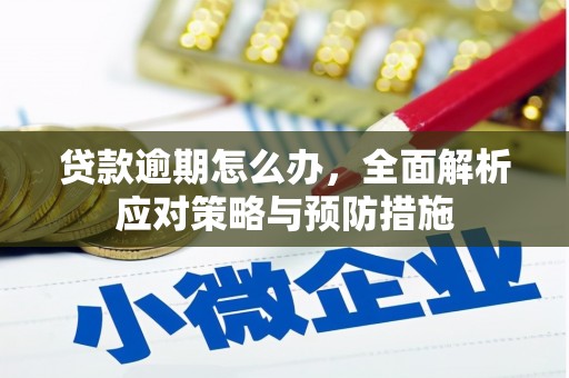 阿勒泰贷款逾期怎么办，全面解析应对策略与预防措施