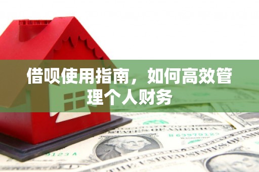 阿勒泰借呗使用指南，如何高效管理个人财务