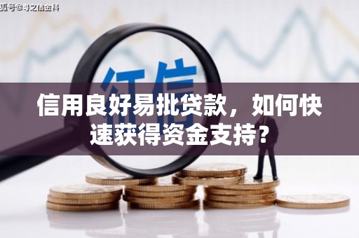 阿勒泰信用良好易批贷款，如何快速获得资金支持？
