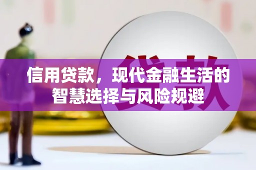阿勒泰信用贷款，现代金融生活的智慧选择与风险规避