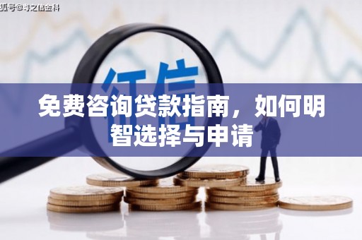 阿勒泰免费咨询贷款指南，如何明智选择与申请
