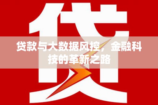 阿勒泰贷款与大数据风控，金融科技的革新之路