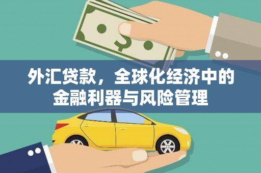 阿勒泰外汇贷款，全球化经济中的金融利器与风险管理