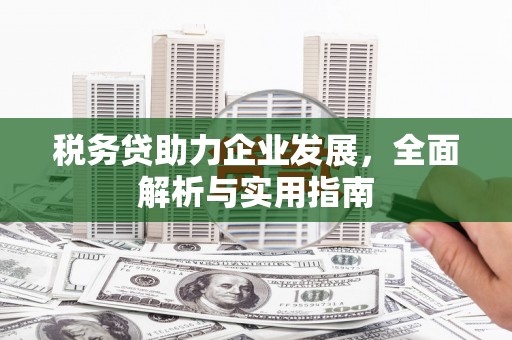 阿勒泰税务贷助力企业发展，全面解析与实用指南