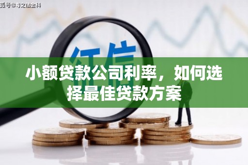 阿勒泰小额贷款公司利率，如何选择最佳贷款方案
