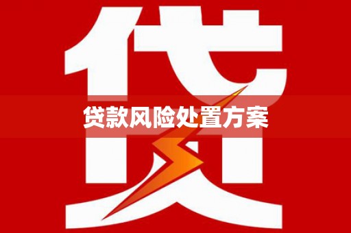 阿勒泰贷款风险处置方案