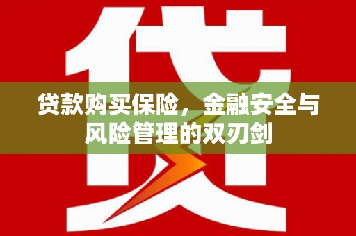 阿勒泰贷款购买保险，金融安全与风险管理的双刃剑